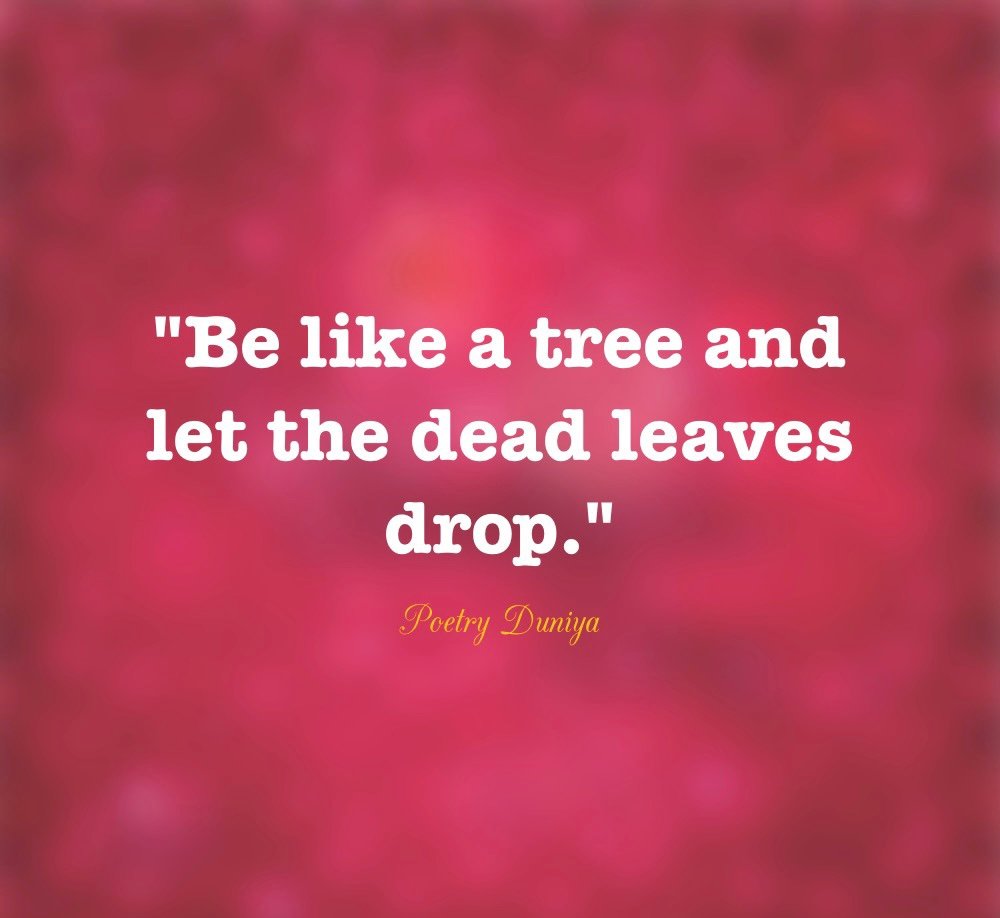 “Be like a tree and let the dead leaves drop.”